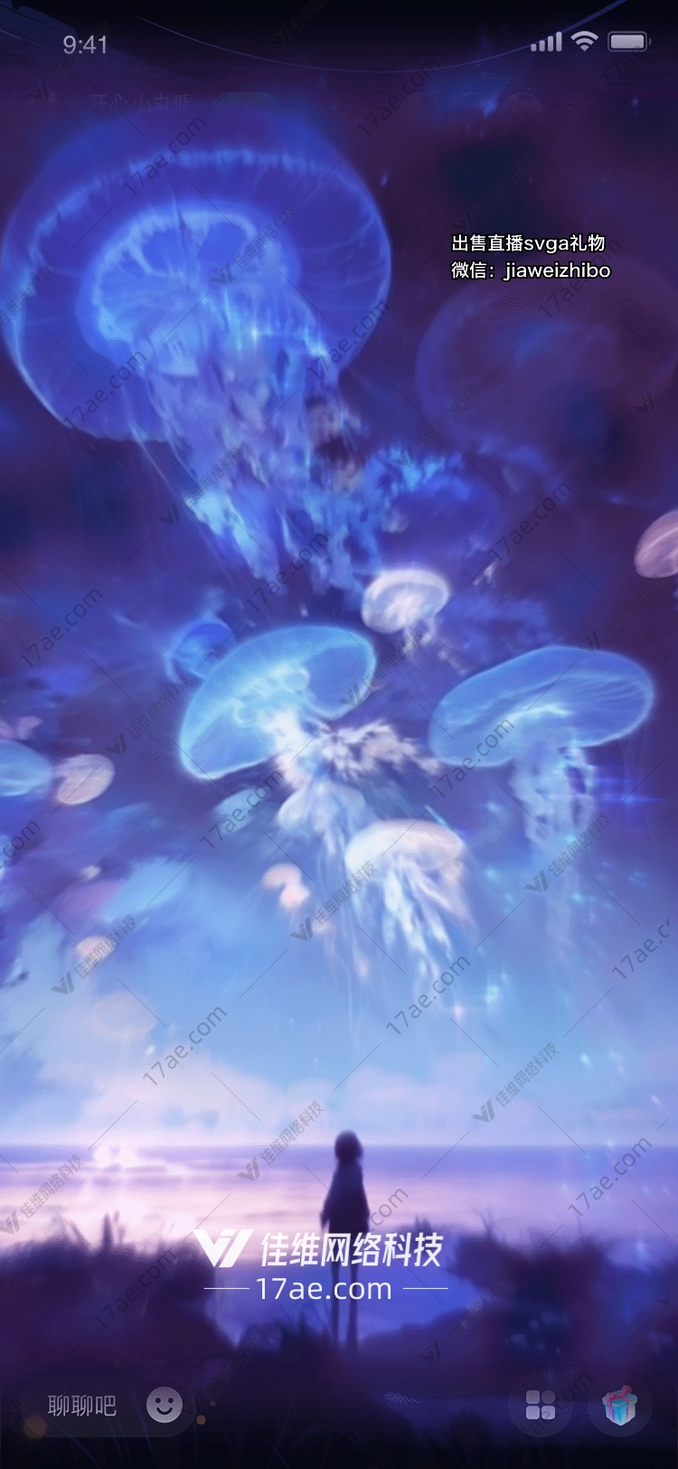 梦幻水母