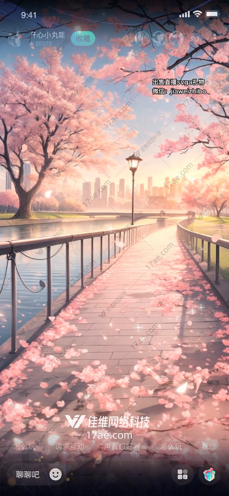 樱花之桥