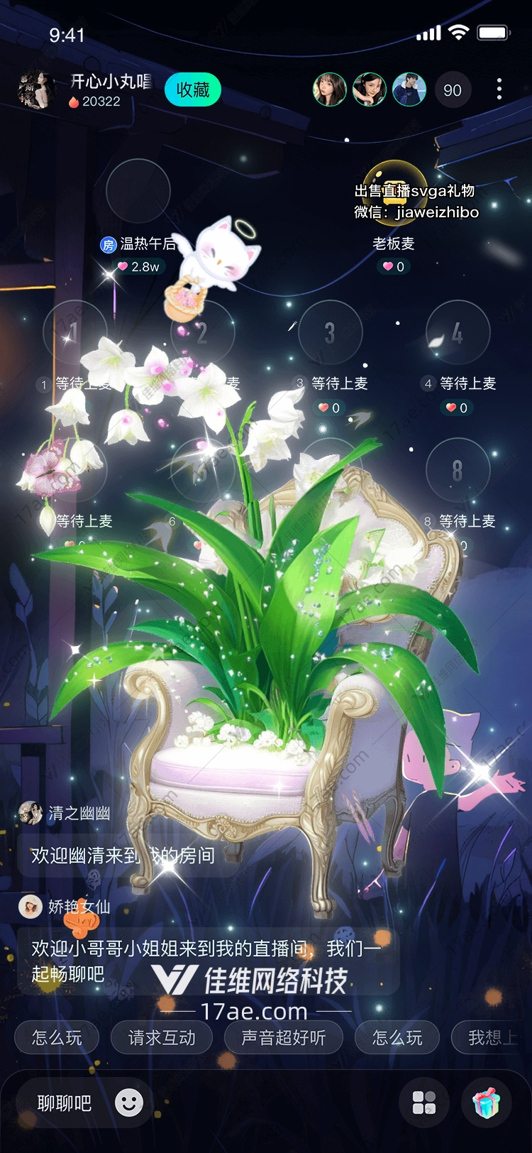 天使猫咪 天使猫咪