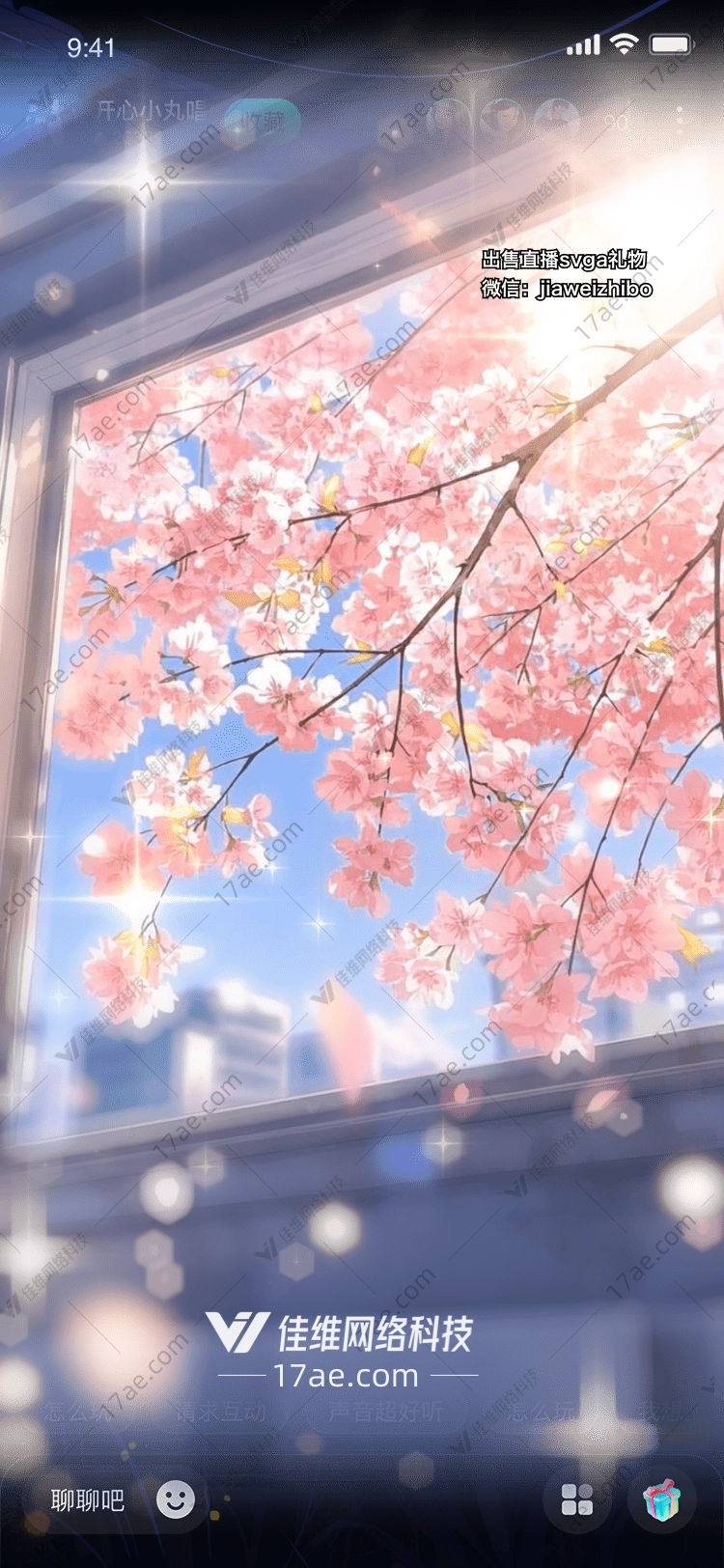 樱花之恋 樱花之恋