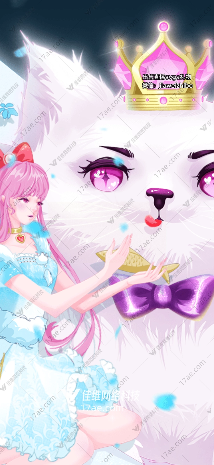 猫猫手册