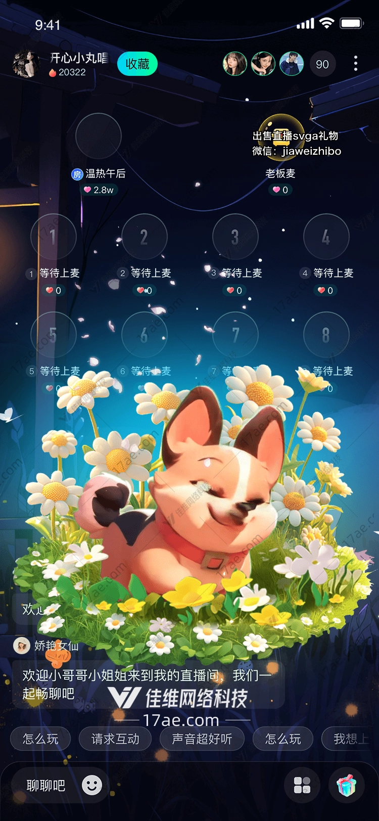 春日花海中的小狗 春日花海中的小狗