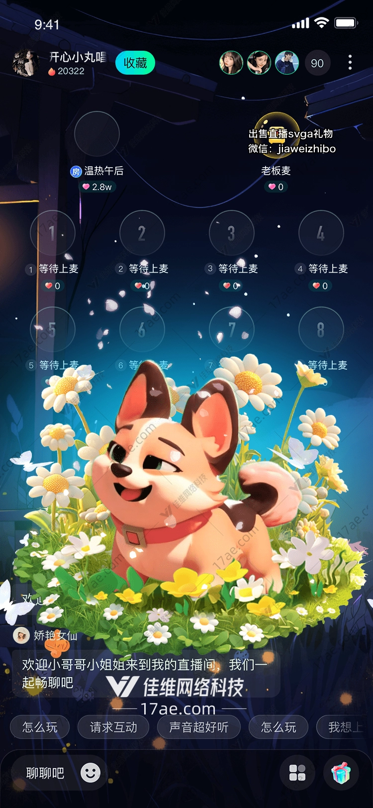 春日花海中的小狗 春日花海中的小狗