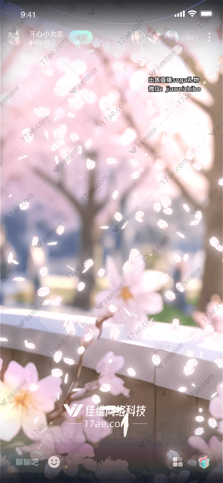 樱花飘落 樱花飘落