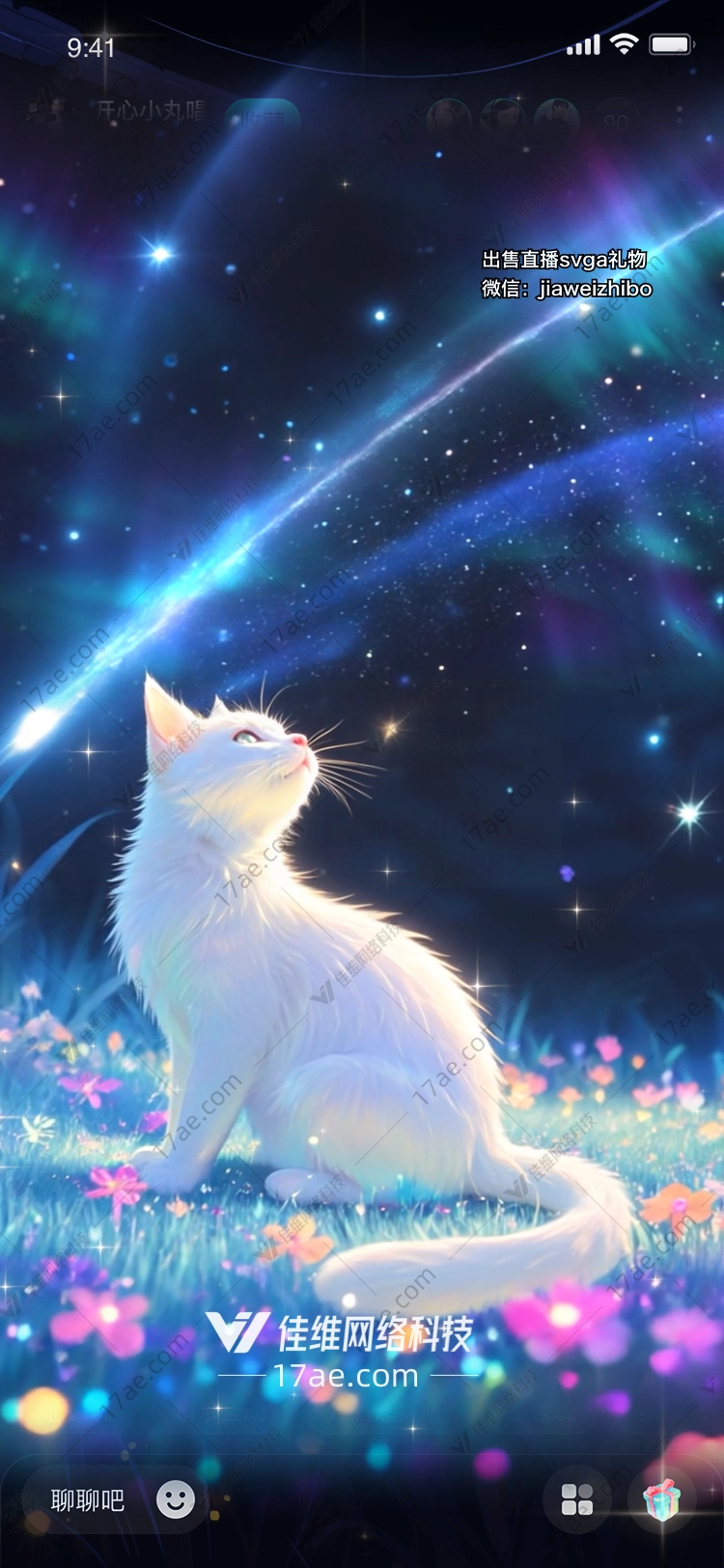 星空下的梦幻礼物