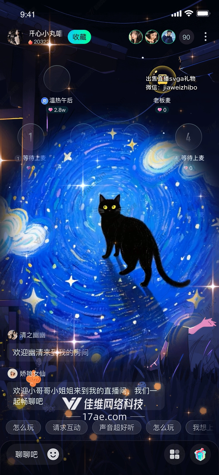 星空下的黑猫 星空下的黑猫