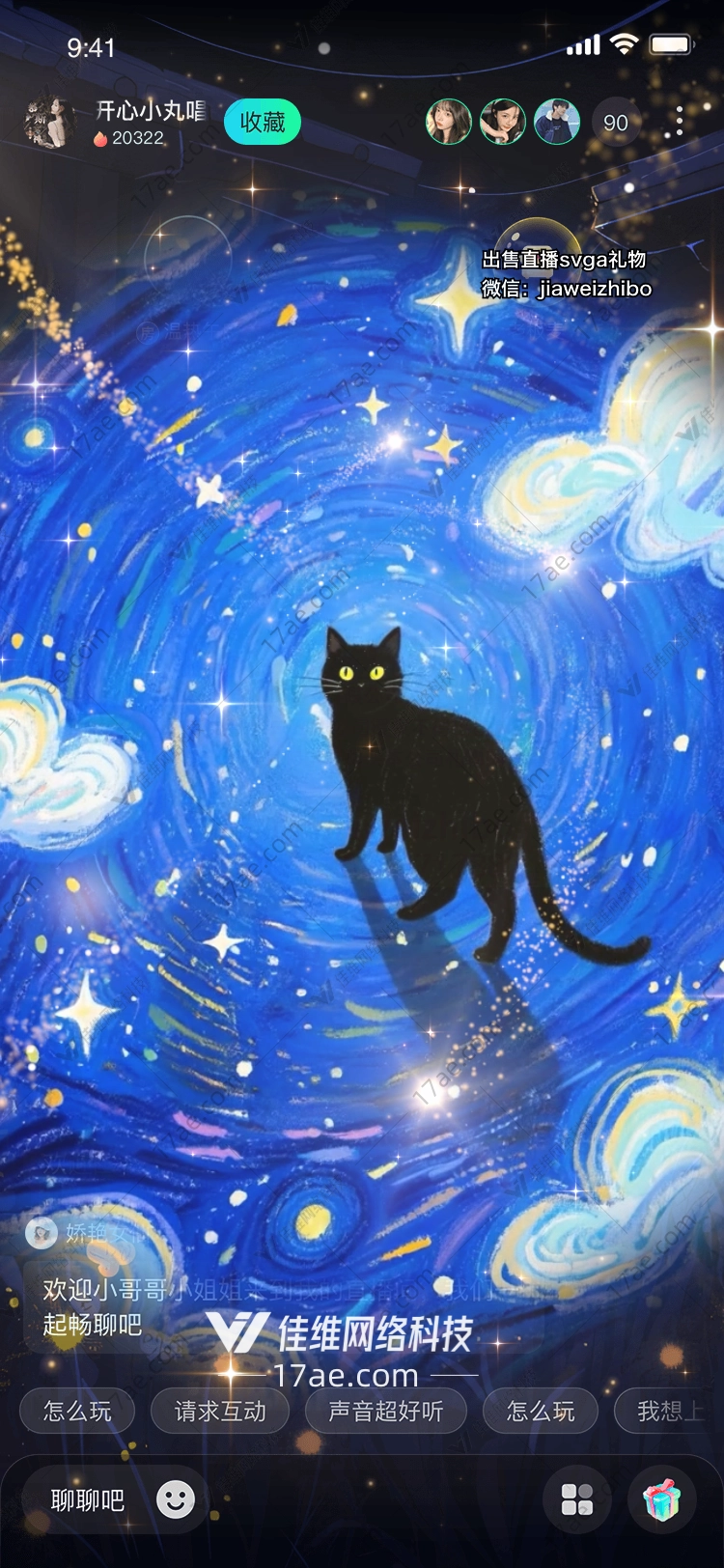 星空下的黑猫 星空下的黑猫