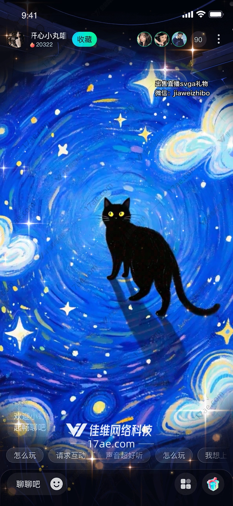 星空下的黑猫 星空下的黑猫
