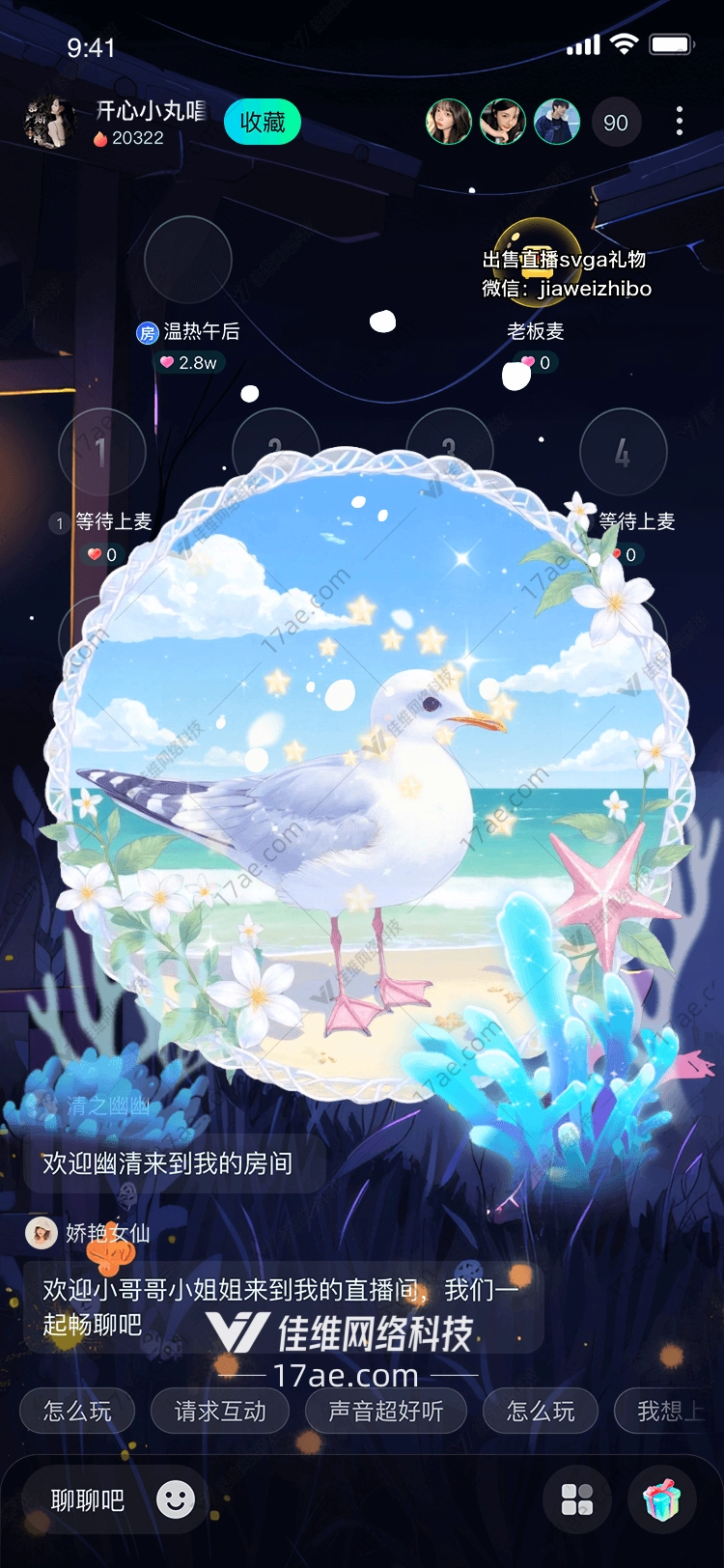 海鸥之梦 海鸥之梦