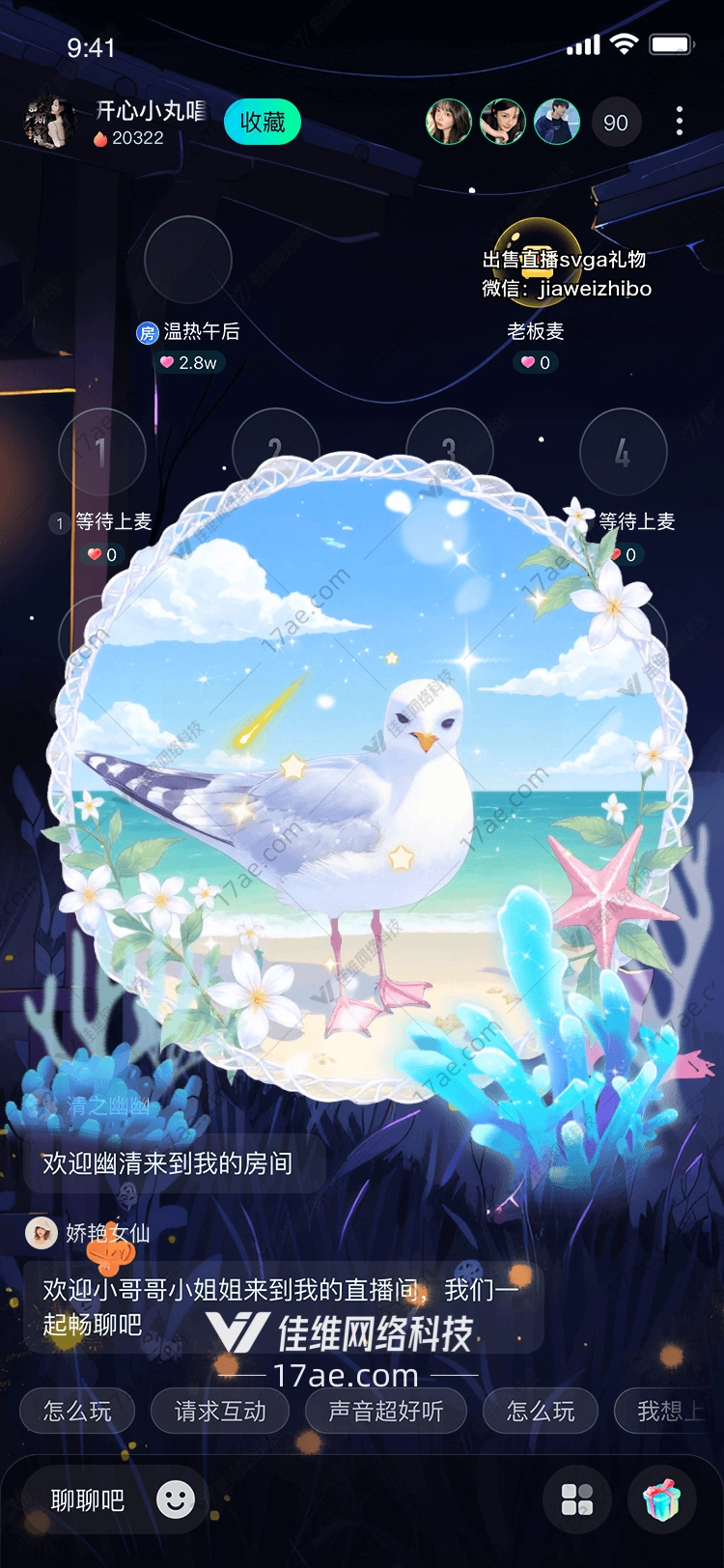 海鸥之梦 海鸥之梦