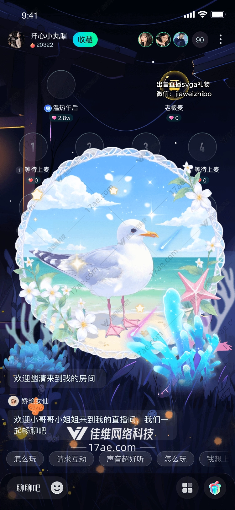 海鸥之梦 海鸥之梦
