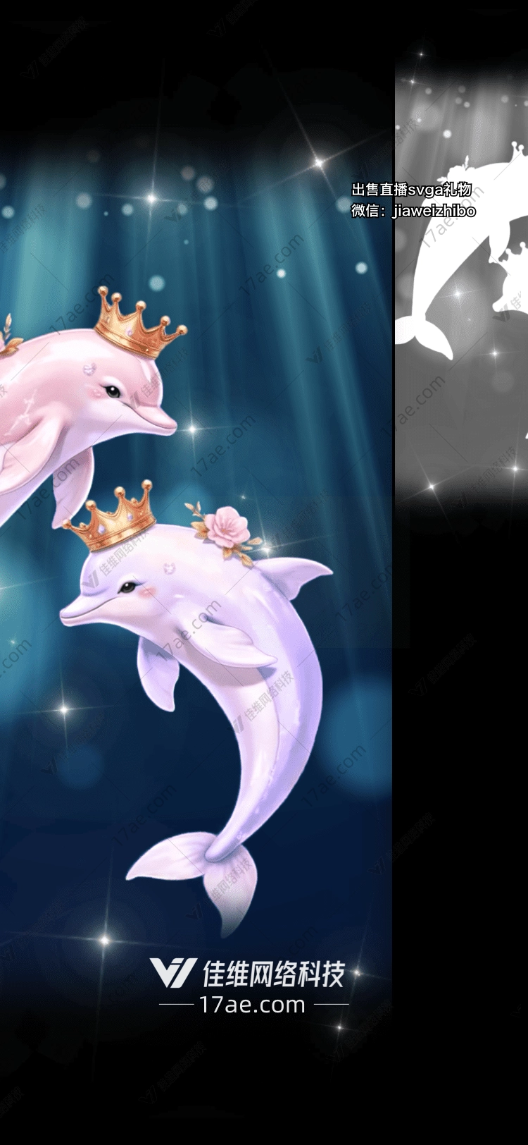 梦幻海豚 梦幻海豚