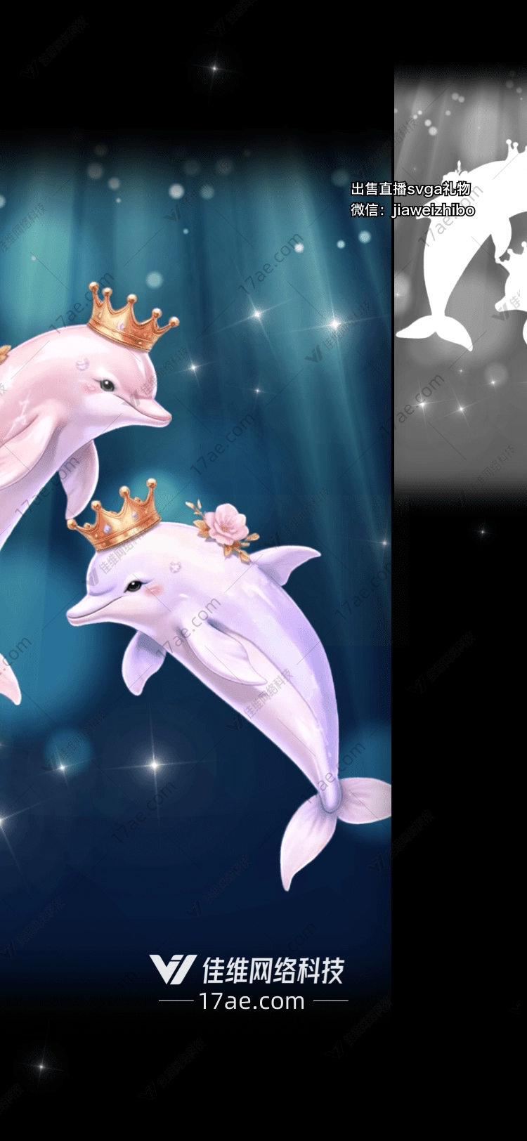 梦幻海豚 梦幻海豚