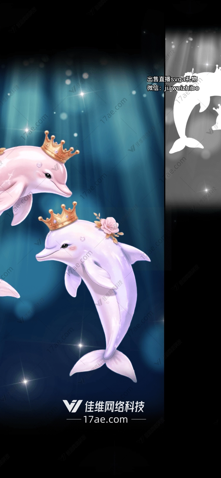 梦幻海豚 梦幻海豚