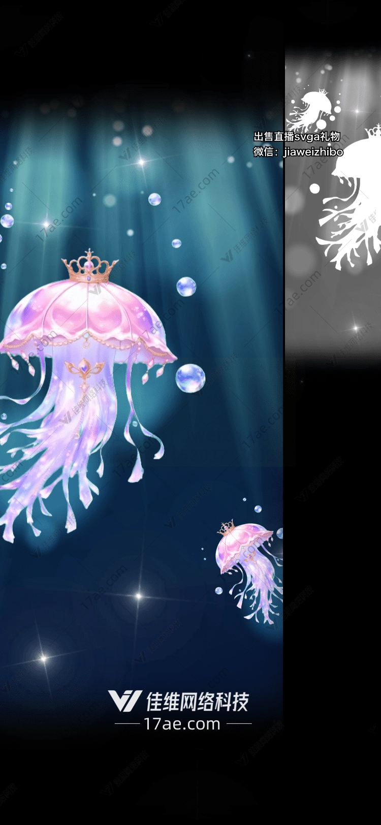 梦幻水母 梦幻水母