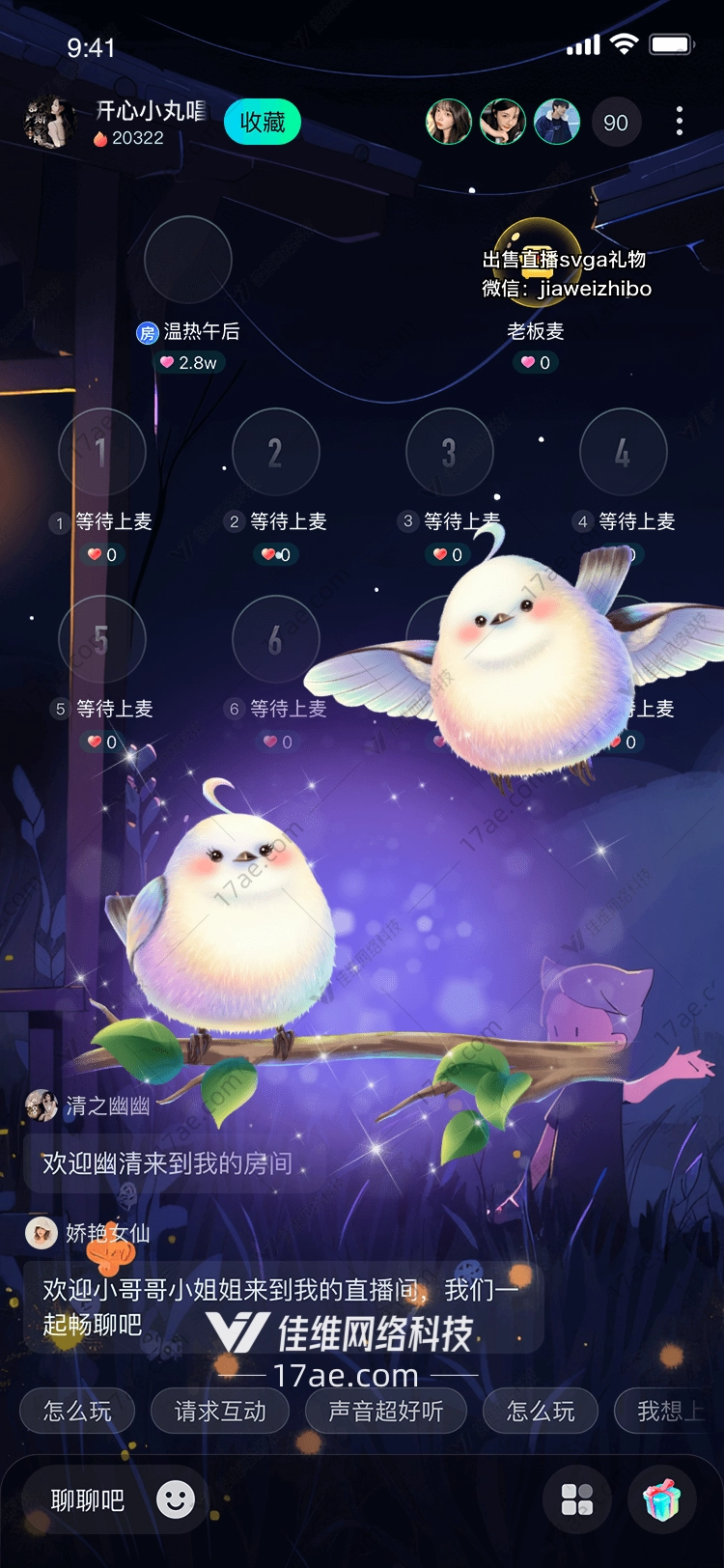 梦幻小鸟 梦幻小鸟