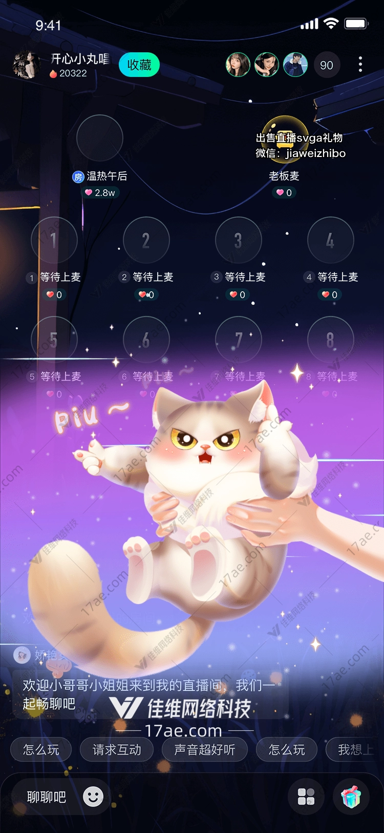 萌宠猫咪图 萌宠猫咪图