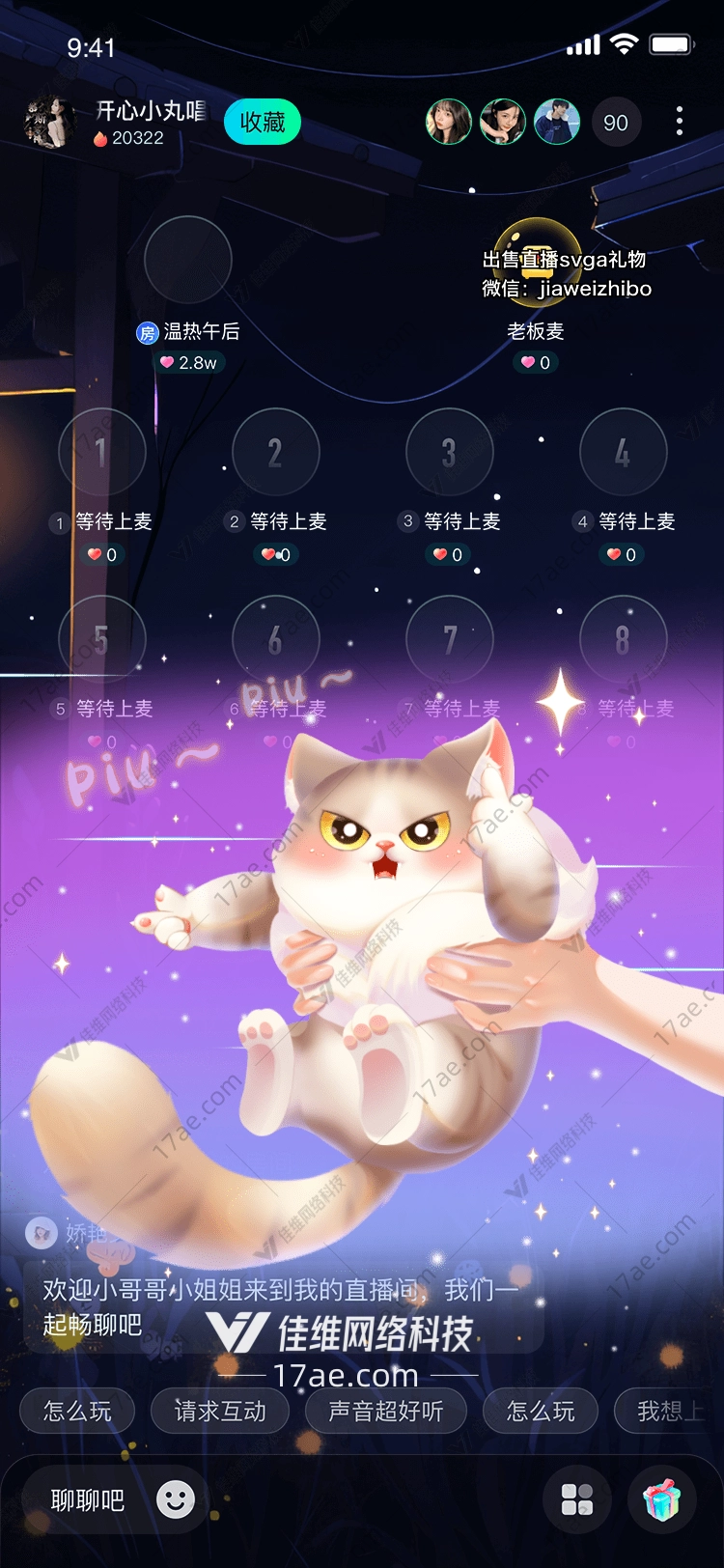 萌宠猫咪图 萌宠猫咪图