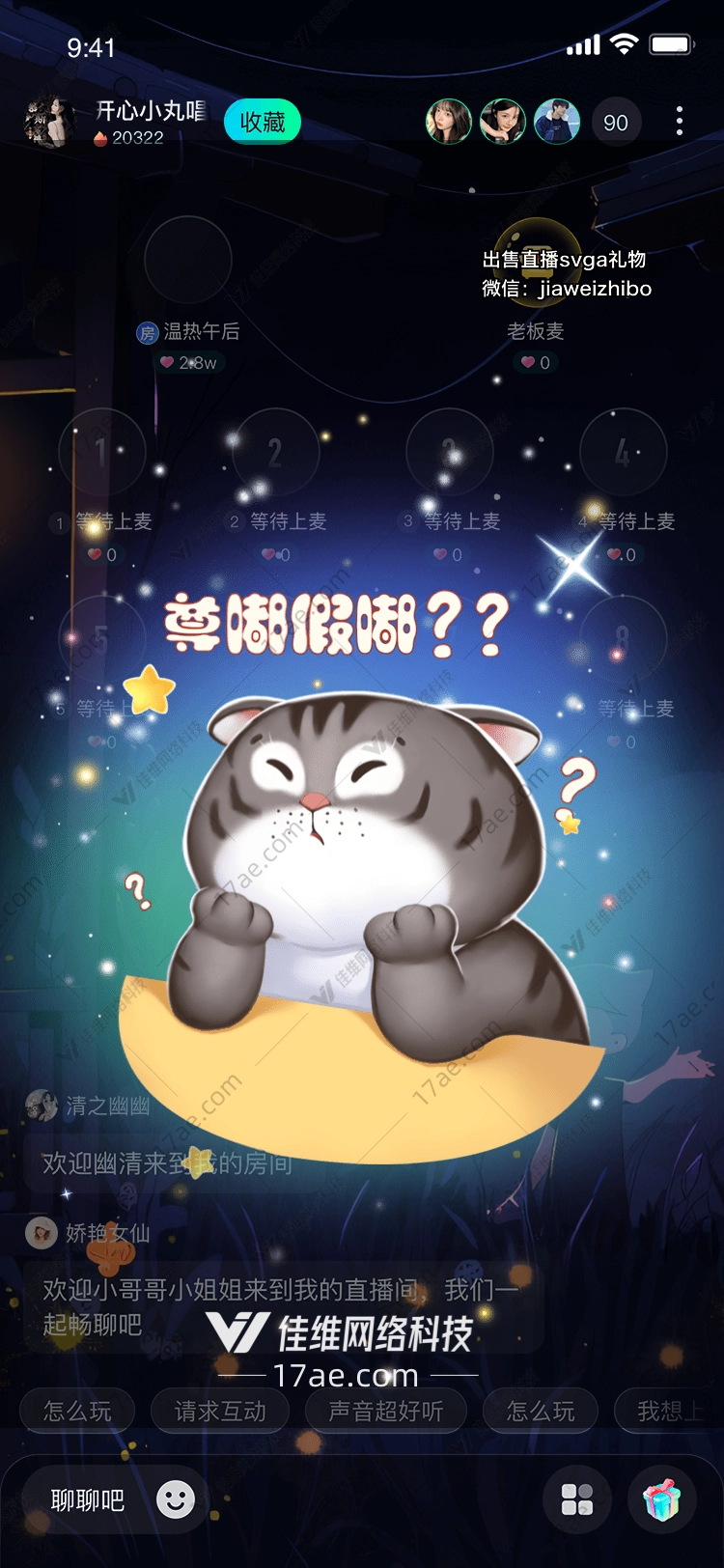 星空下的小猫