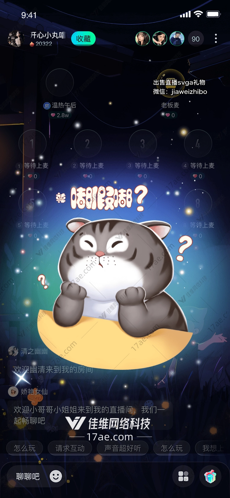 星空下的小猫