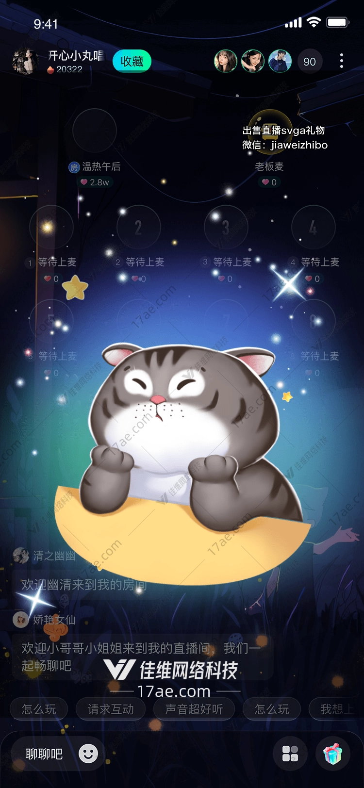 星空下的小猫