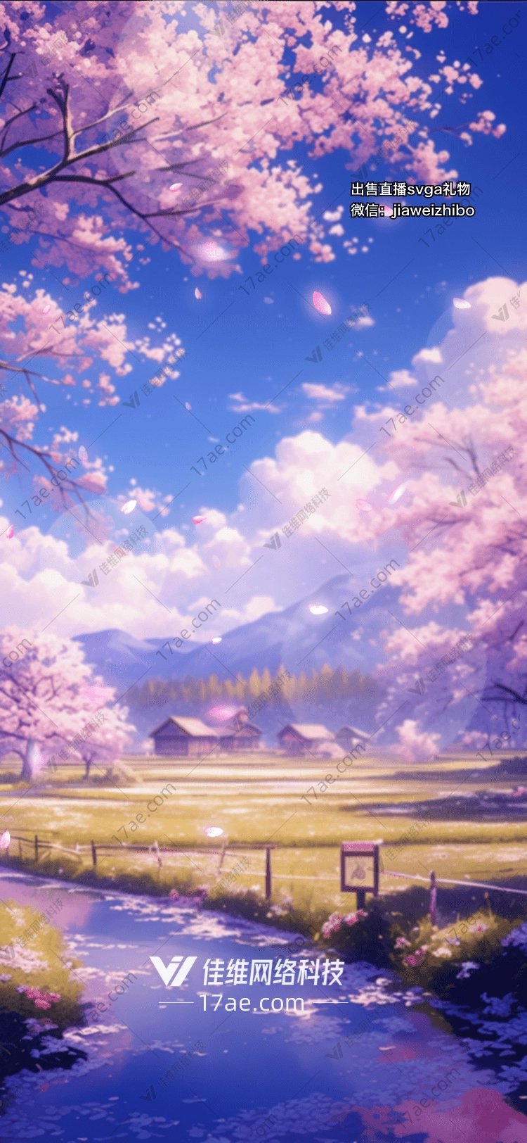 樱花之恋
