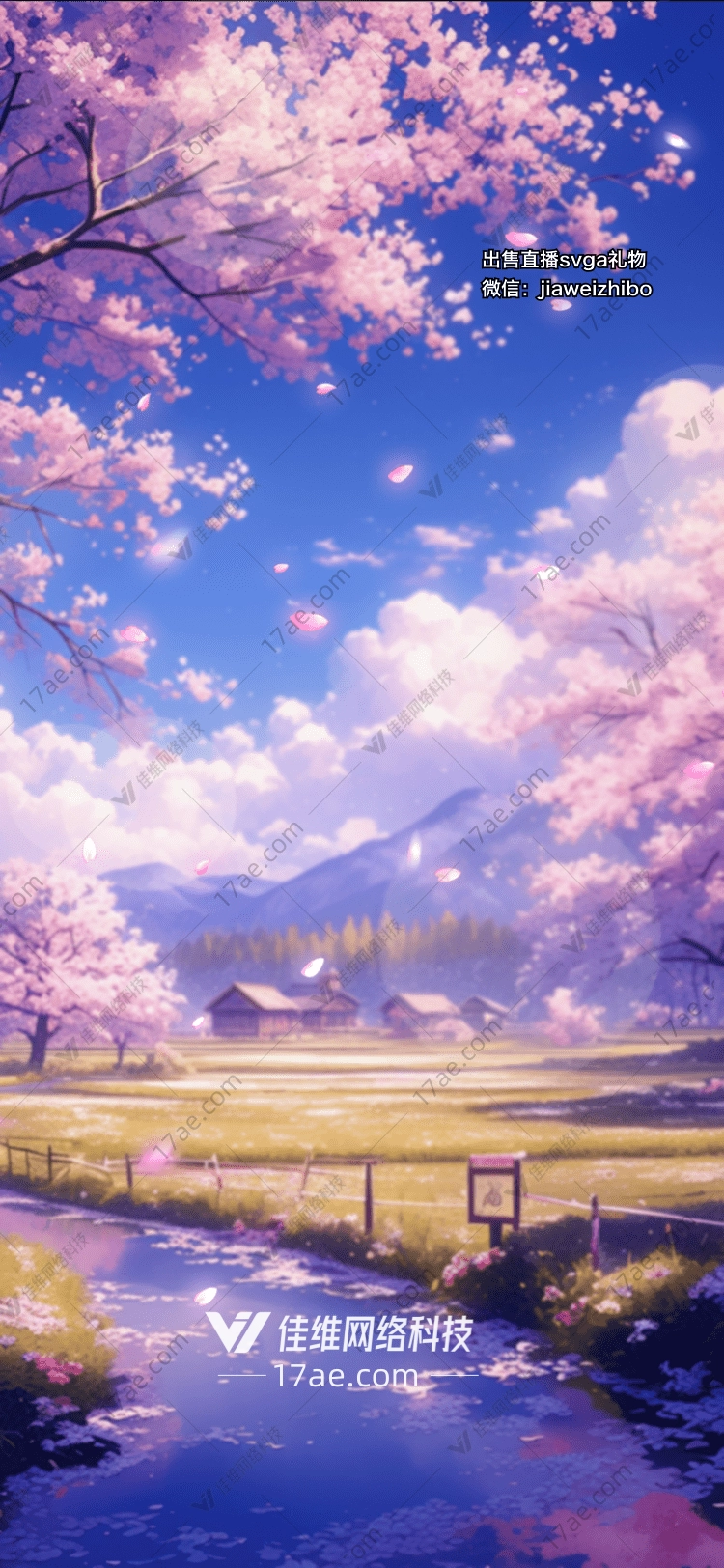樱花之恋