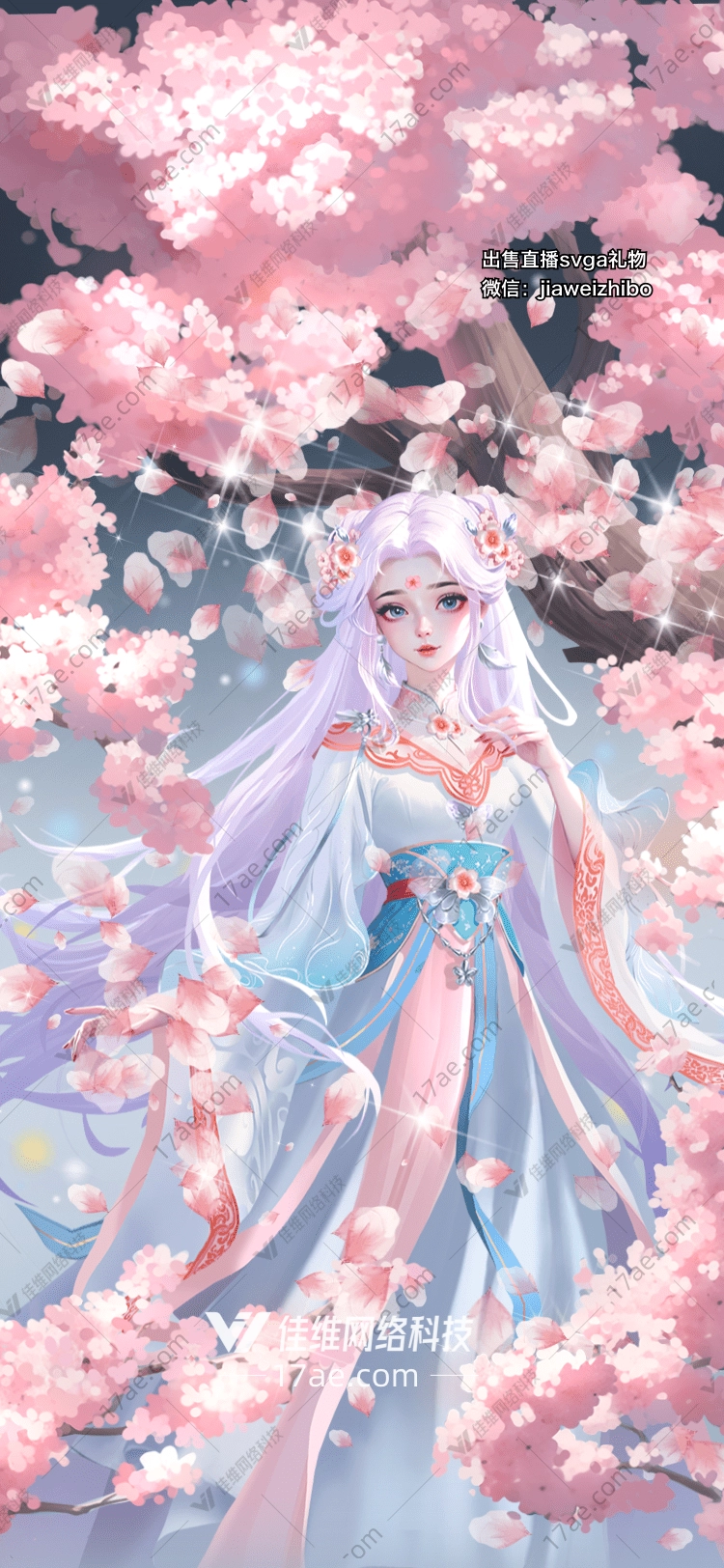 樱花绽放