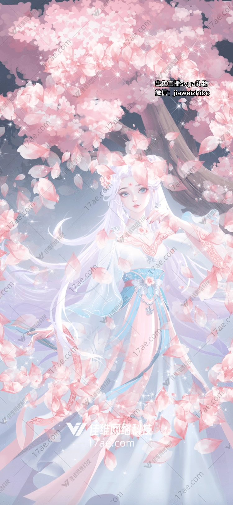 樱花绽放