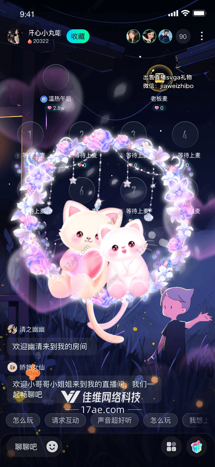 梦幻猫咪