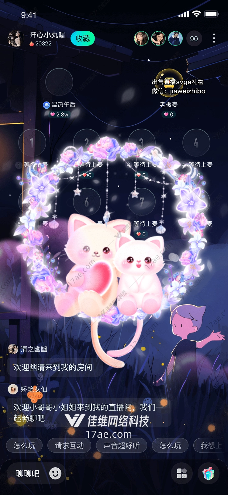 梦幻猫咪
