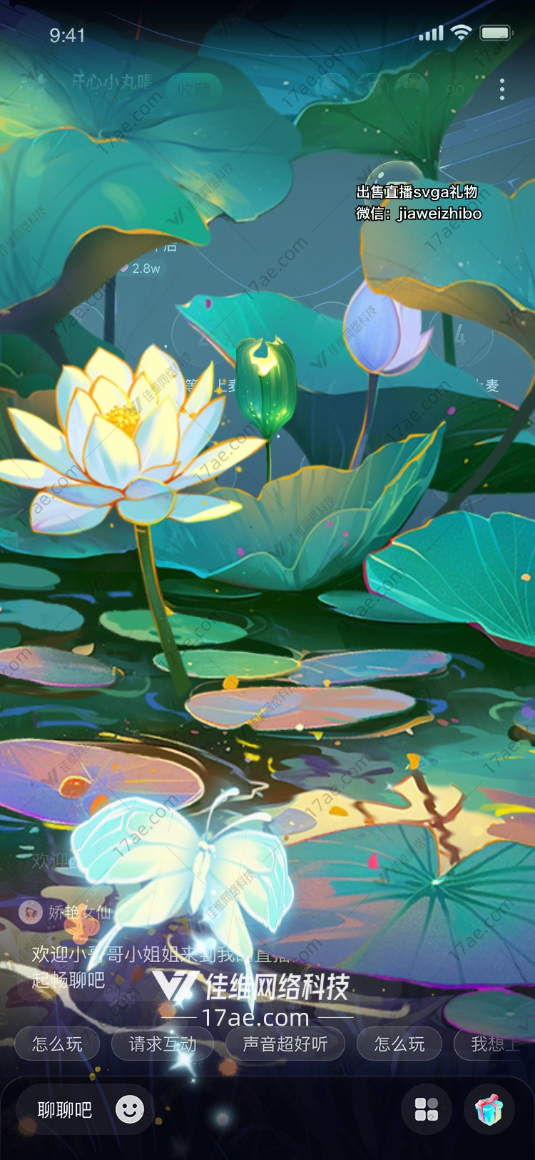 梦幻莲池