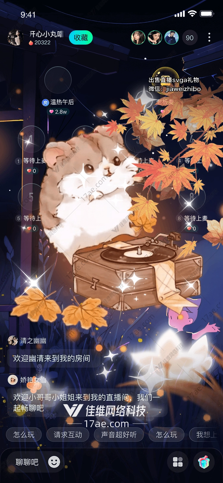 秋日私语仓鼠与黑胶唱片的温暖邂逅