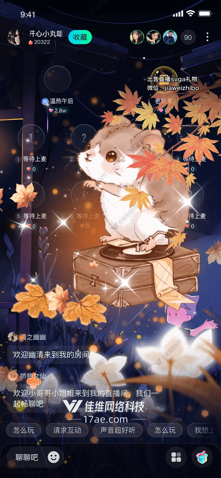 秋日私语仓鼠与黑胶唱片的温暖邂逅