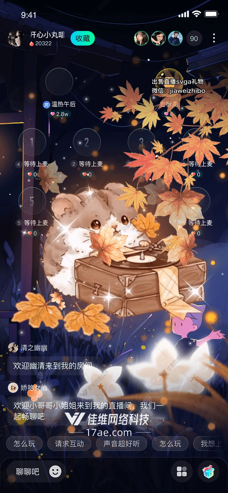 秋日私语仓鼠与黑胶唱片的温暖邂逅