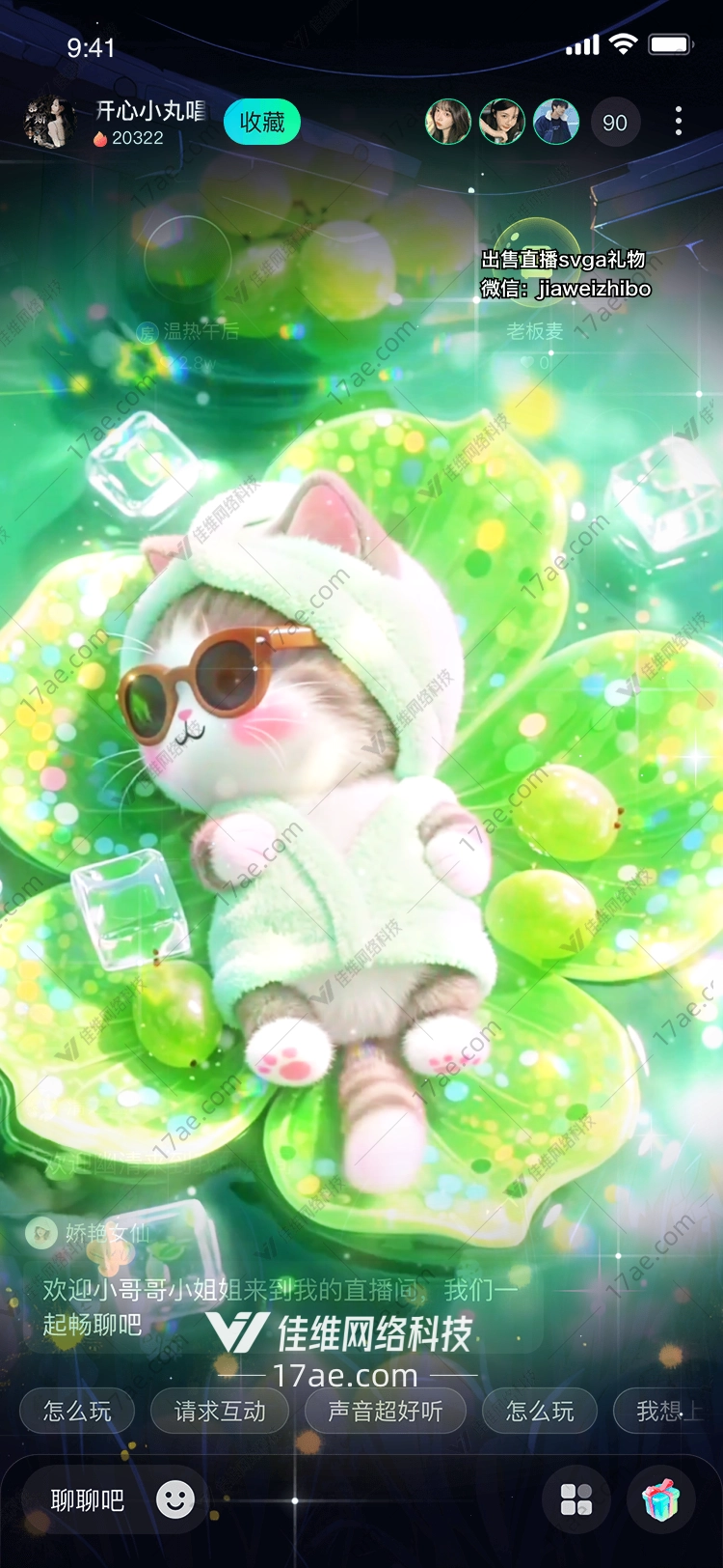夏日微光青提猫的清凉梦境