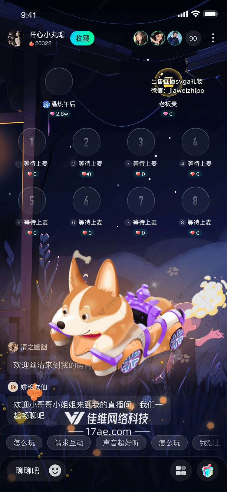 飞驰的柯基梦想与速度的奇妙融合