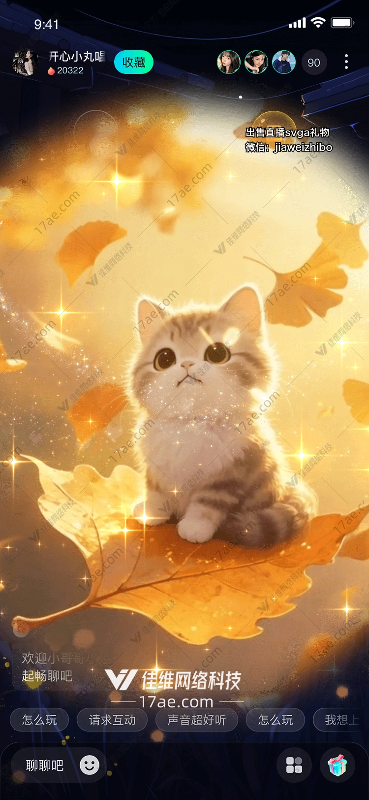 秋叶之梦猫咪与时光的温柔邂逅