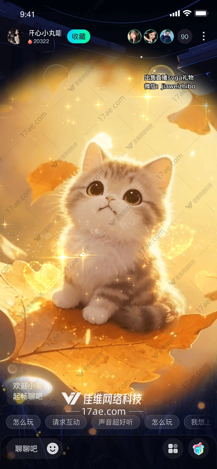 秋叶之梦猫咪与时光的温柔邂逅