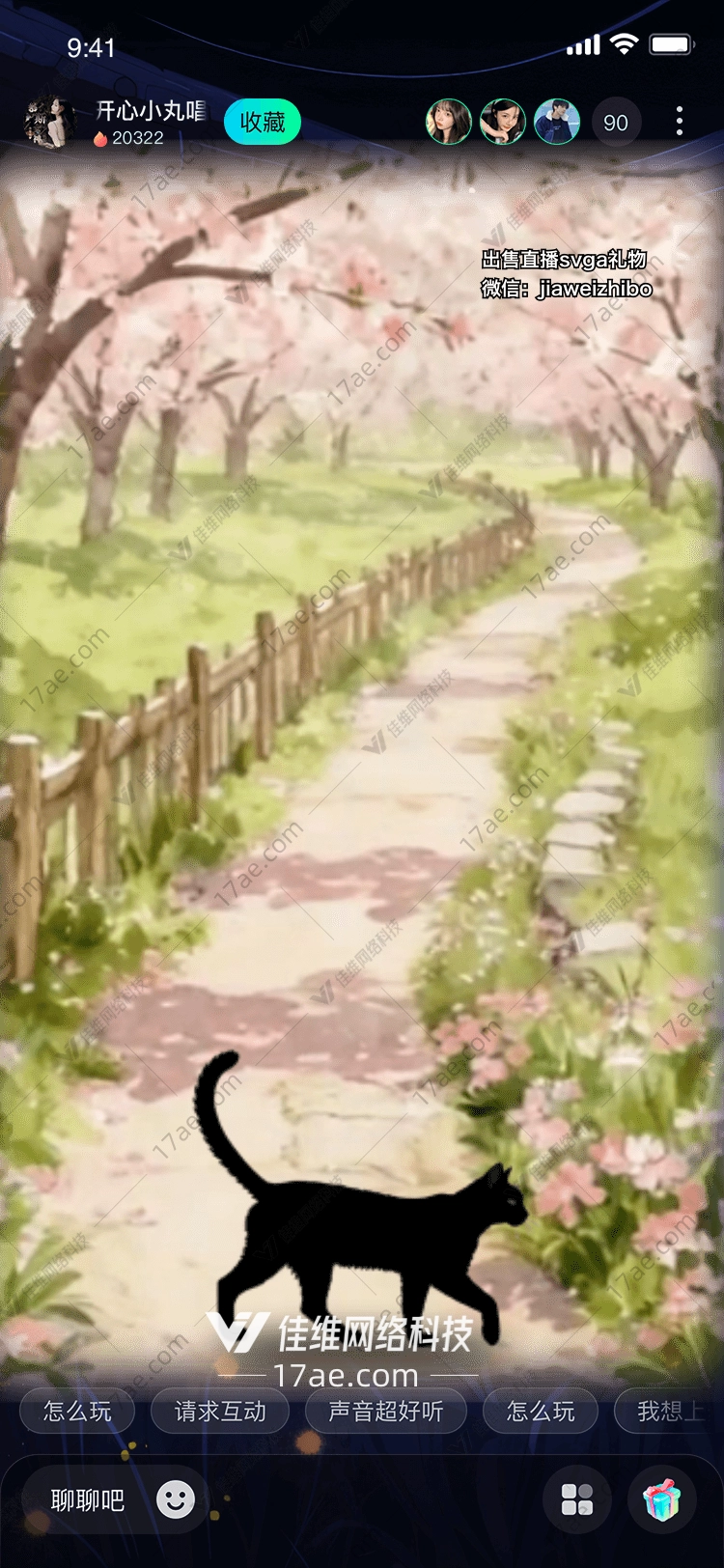 春日归途黑猫与樱花小径的邂逅