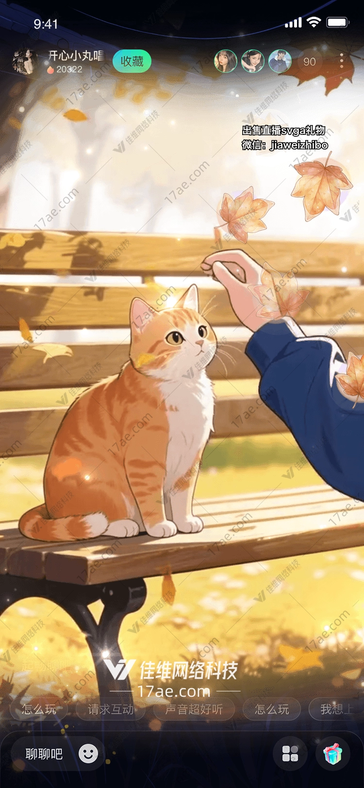 秋日暖阳与猫共度的温柔时光 秋日暖阳与猫共度的温柔时光