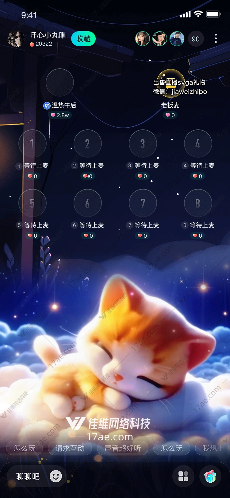 星空下的小猫