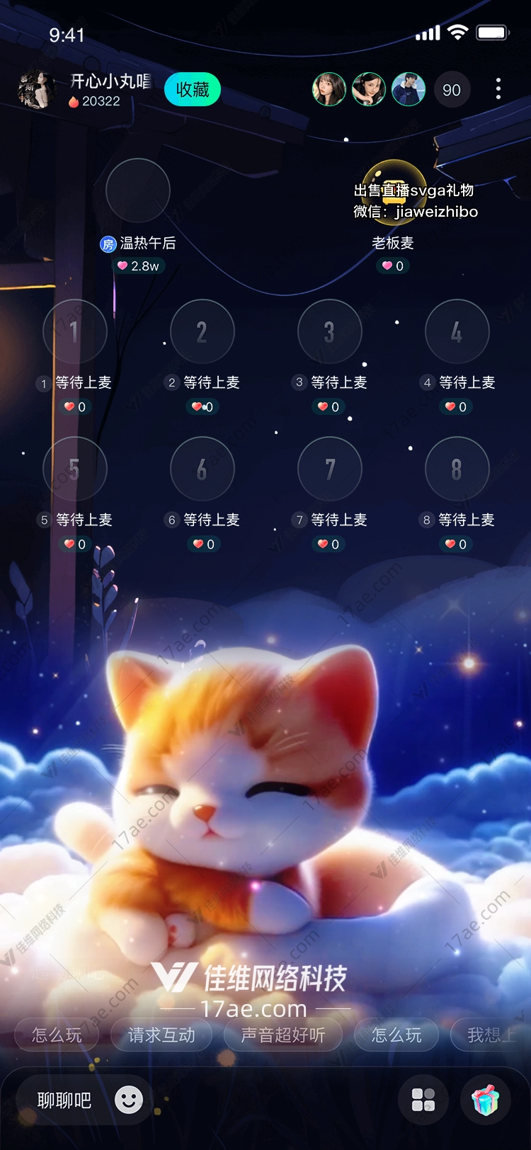 星空下的小猫